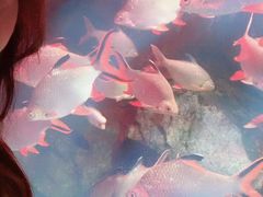 -泉城欧乐堡海洋极地世界