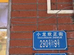 -大龙火锅(老店)