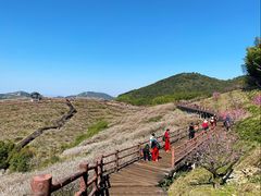 -原乡小镇度假乐园