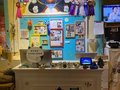 -猫小院猫主题咖啡厅(北锣店)