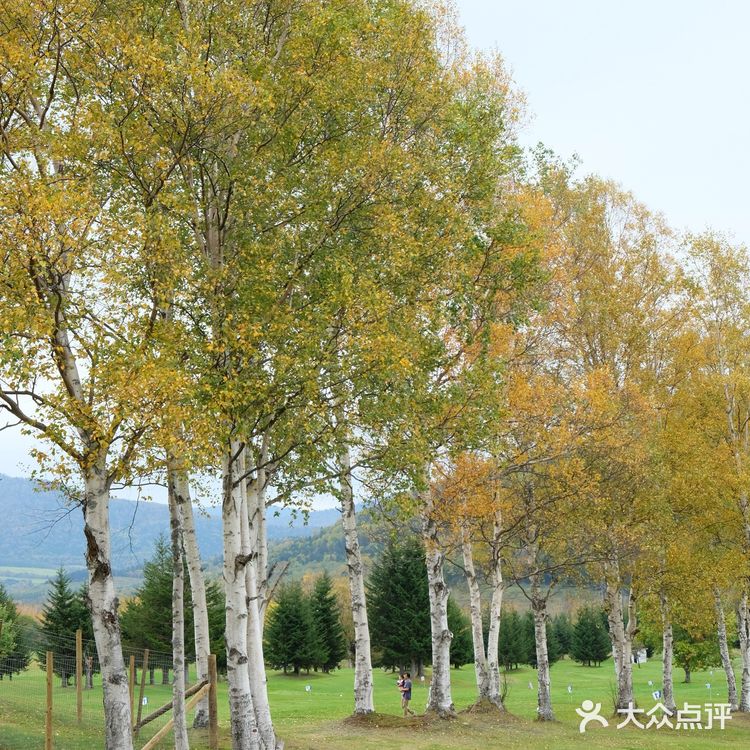 日本北海道必住酒店|星野度假村入住攻略