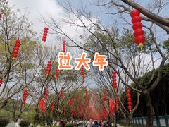 -番禺大夫山森林公园