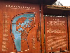 景点-眉山湿地公园(东坡区)