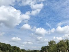 -白鹭湾湿地公园