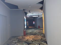 -星河寰宇IMAX影城(星河WORLD·COCO Park店)