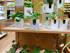 -MUJI无印良品(环球港店)