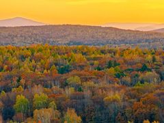 -五营红松林海景区