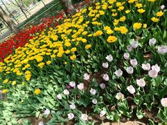 -长春公园(普阳街道)