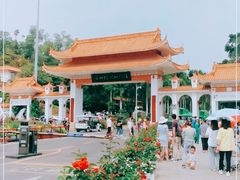 -深圳仙湖植物园-停车场