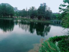 -四海公园(南山区)