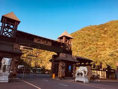 -大连天门山国家森林公园