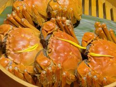 -成隆行·蟹王府(淮海店)
