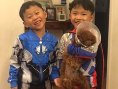 -欧奕国际动物医院