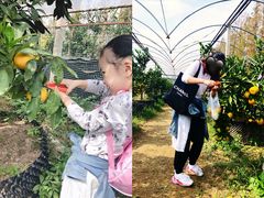 -前小桔亲子创意农场·草莓采摘·露营烧烤