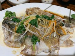 清蒸鲈鱼-北国小院(市桥店)