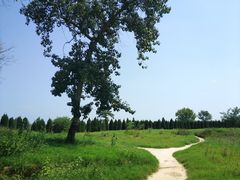 -汉长安城未央宫国家考古遗址公园