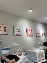 -洗脸猫·洗脸吧