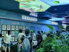 -海合安成都极地海洋公园