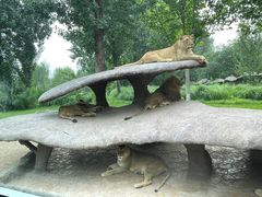 -北京野生动物园