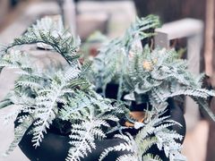 -boundaries籬苑(瑞光创意工厂-贰号院店)