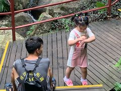 -呀诺达热带雨林