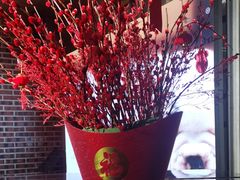 -额尔敦牛厨师铜板烧