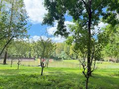 -黄海国家森林公园