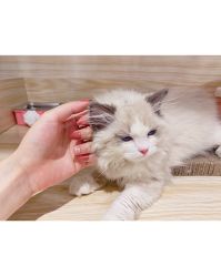-Beauty Nails 美甲美睫皮肤管理