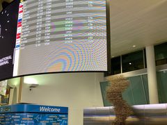 -约翰·菲茨杰拉德·肯尼迪国际机场