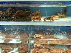 -盒马鲜生(顺义店)