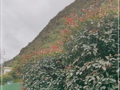 -康定跑马山风景区