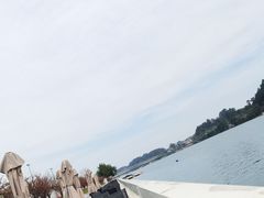 -江湾神木园