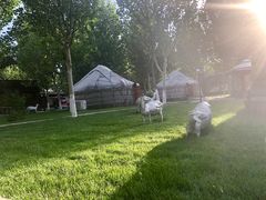 -九十九顶毡房(阜石路店)