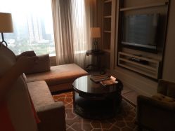 -巍阁高端月子会所