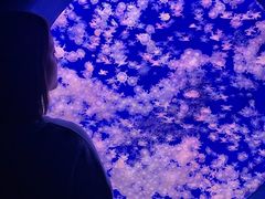 -江和美海洋公园