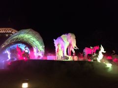 -清迈夜间动物园