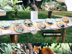 -常州淹城野生动物世界