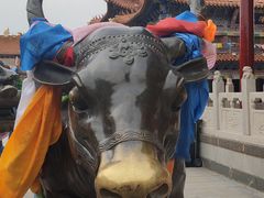 -大召寺明清一条街