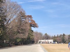 -井之头恩赐公园