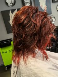 -TONI&GUY