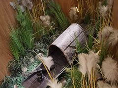 -7017浙菜•建德味(中财店)