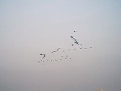 -咸阳湖景区