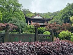 -十八棵（老龙井）御茶园(老龙井店)