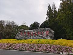 -东平国家森林公园
