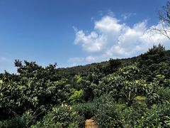 -东山风景区(洞庭东山)