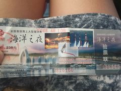 -凤凰岛