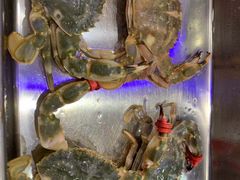 -鲜鲜·鲅鱼圈海鲜(于洪店)