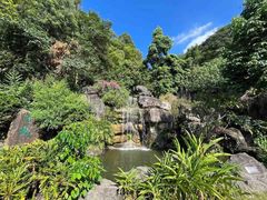 -广州神农草堂中医药博物馆