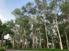 -福建鲤鱼洲酒店