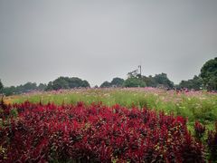 -保利石象湖景区